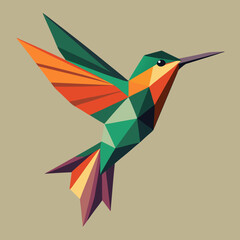 Low Poly Colorful Hummingbird Cartoon Vector Colorful Bird Illustration Vector Design