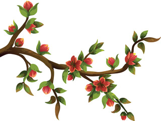branch of cherry tree vector 