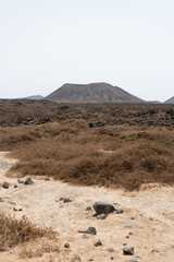 Exploring the rugged beauty of volcanic landscapes