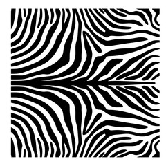 black and white zebra abstract background
