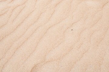 Gentle waves of sand shape a tranquil beach landscape at midday sun