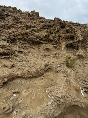 footprint in the sand