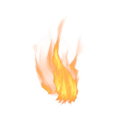 fire on a white background