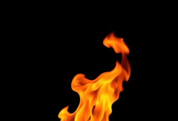 Intense orange and yellow flames lick a stark black backdrop, creating dramatic contrast, heat, orange