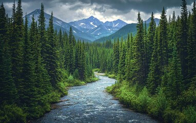 Obraz premium Of a wild forest with a river running through it and mountains in the background