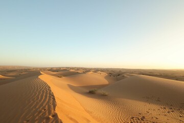 Wahiba Sands II