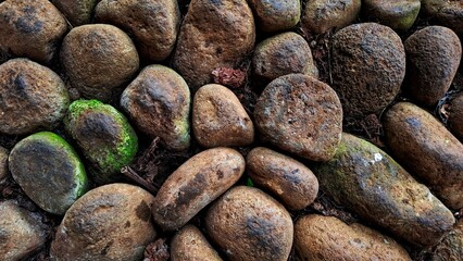 Natural stone background with patterns of settled moss and various natural rocks processed with a long time. for backgrounds, designs and various art purposes.