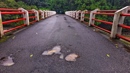 A bridge building in an urban forest area with tropical trees around it and a river under the bridge. The bridge road area is muddy with potholes.