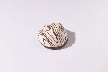 chocolate cakes on a white background