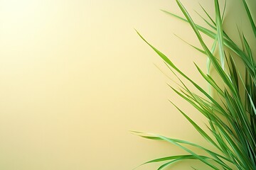 Fototapeta premium Easter Background, Easter Banner, Lush Green Grass Blades on Pastel Yellow Background Summer Nature Minimalist Design