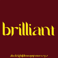 Modern clean sans serif unique style alphabet display font vector