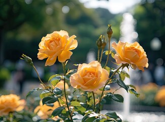 Blooming Yellow Roses in Garden Setting with Fountain in Background
