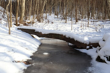 Frozen rivulet in February