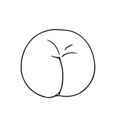 Line sketch,contour of sweet peach,nectarine fruit.Vector graphics.
