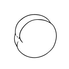 Line sketch,contour of sweet peach,nectarine fruit.Vector graphics.