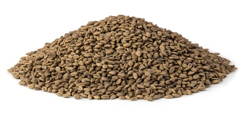 Large Pile of Brown Barley Grains Close Up