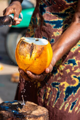 woman on a market holding a coconut, negombo, sri lanka