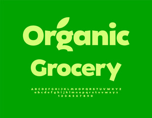Vector Green concept Organic Grocery. Artistic Font. Trendy Alphabet Letters, Numbers and Symbols set