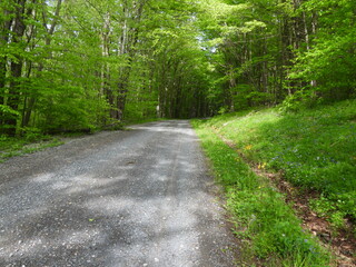 Visitors can enjoy the beautiful scenery, while driving Forest Road 80, and hiking the trails along the way. Canaan Valley National Wildlife Refuge, Tucker County, Davis, West Virginia.