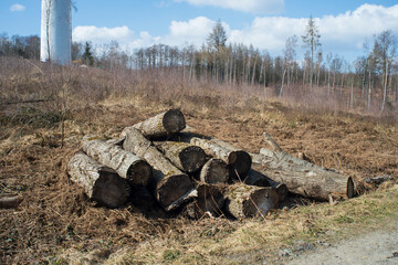 A pile of logs in a field.  A group of trees and blue sky. Construction concept.
