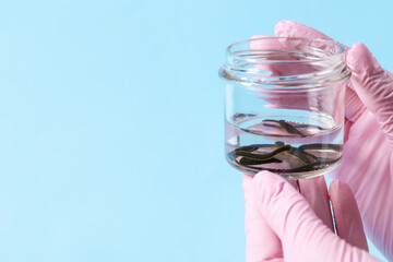 Woman holding glass jar with medicinal leeches on light blue background, closeup. Space for text
