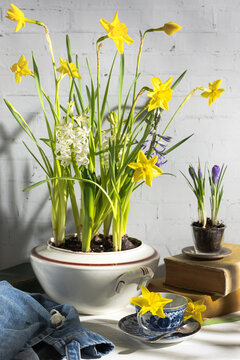 Spring flowers in a vintage soup tureen on a rustic setting