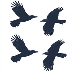 Obraz premium Modern logo featuring a sleek black outline of birds