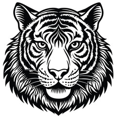 tiger vector illustration