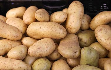 Box of organic potatoes in a shop