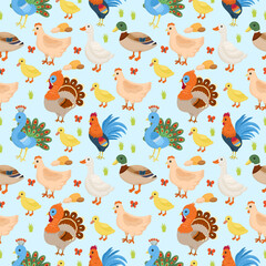 Colorful pattern with poultry: chickens, geese, ducks, roosters, turkeys and peacocks. Ideal for packaging, textiles, children's products, farm products and design.