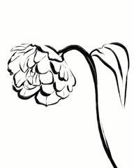 Abstract Drawing Of A Black Flower