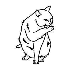 cat licks its own body outline illustration. cat line illustration.