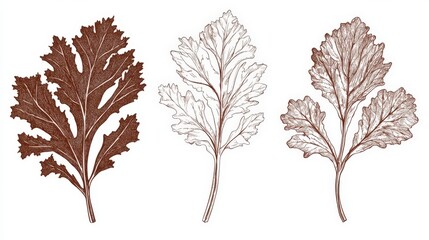 Botanical Illustration of Detailed Leaves in Sepia Tones