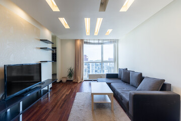 Modern Home Apartment Living Room with Cozy Decor and Natural Light From Large Windows. Interior