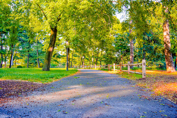 Central Park walkway with vibrant warm trees in summer New York City Manhattan  USA. Bright warm sunny afternoon. Central Park landscape background. Forest nature walk. Hike travel tour.