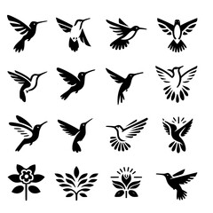hummingbirds Icon Set