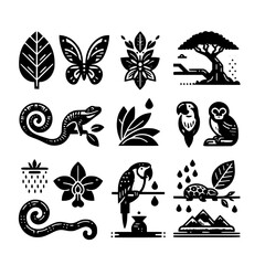rainforest Icon Set