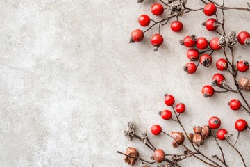 赤い実が散りばめられた木の枝のアート作品が美しいインテリアに彩りを添える