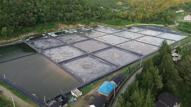 Aerial view of empty shrimp ponds in a coastal aquaculture farm