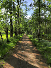 Fototapeta premium A romantic hiking and cycling trail along the Schwalm River amidst beech trees and pastures. A beautiful recreational area on the left bank of the Lower Rhine.