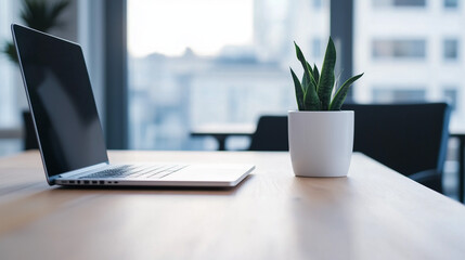 Fototapeta premium Minimalist Potted Plant on a Wooden Table with Soft Natural Light 