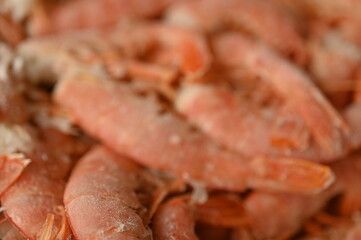 close-up of red tails of frozen shrimps, texture of frozen shrimps as background macro