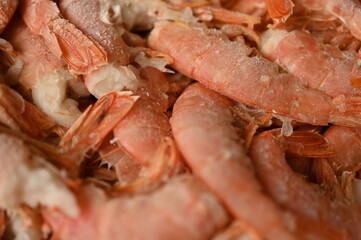 close-up of red tails of frozen shrimps, texture of frozen shrimps as background macro