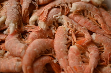 close-up of red tails of frozen shrimps, texture of frozen shrimps as background macro