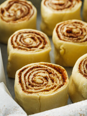 Homemade Cinnamon Rolls Sweet Fluffy Delight