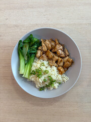 A plate of rice with chicken and bok choy.