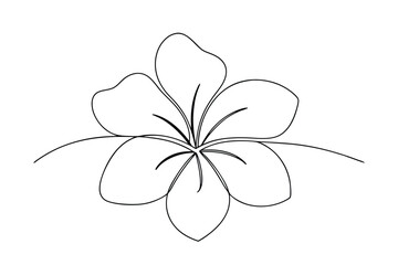 Simple Line Drawing of a Delicate Single Flower Blossom