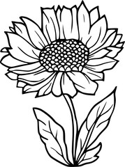 Elegant Black Line Sunflower Drawing, Isolated Botanical Art, Sun Flower in Line Art isolated on White Background