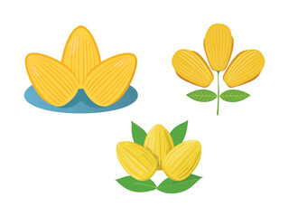 vector illustration of a Madeleines