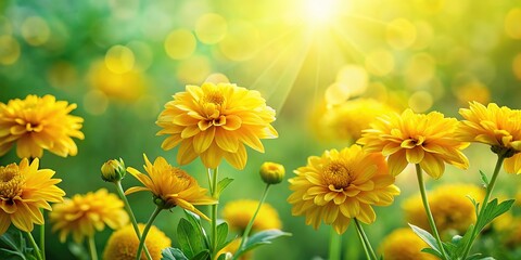 Obraz premium Yellow Flowers Background, Floral, Spring, Summer, Nature